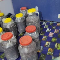 فروش خرمای له شده