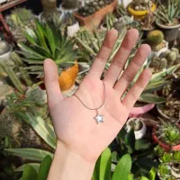 zivaralatesaropa|بدلیجات|شیراز, بعثت|دیوار