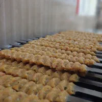 کباب زن کوبیده زن آشپز هستم|استخدام خدمات فروشگاه و رستوران|لنگرود, |دیوار