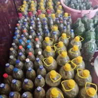 خیارشور تردوخوشمزه آماده مصرف موجوده