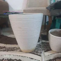 فروش چند عدد گلدان سالم