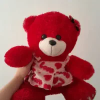 عروسک خرسی در حد نو