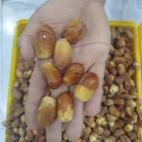 زاهدی (قصب)بهبهان|عمدهفروشی|سعدآباد, |دیوار