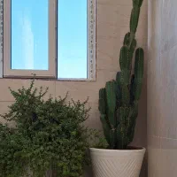گل و گلدان