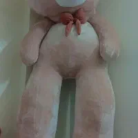 خرس بزرگ ۱۷۰ سانتی