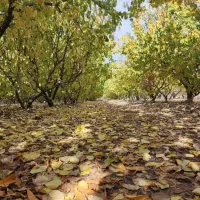 ۴۰۰۰زمین با یک ساعت آب تهران مامونیه قابل معاوضه