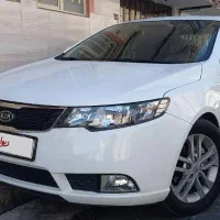 کیا سراتو درحد خشک