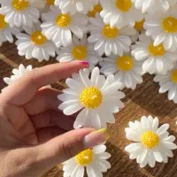 شمع فقط ۱۰هزار|صنایع دستی و سایر لوازم تزئینی|قزوین, |دیوار