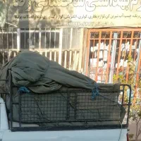 باربند پیکان وانت|قطعات یدکی و لوازم جانبی|کبودرآهنگ, |دیوار