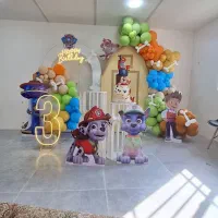 تم تولد ستاره|خدمات پذیرایی، مراسم|ابریشم, |دیوار