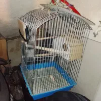 قفس عروس هلندی  از جنس محکم قدیمی|لوازم جانبی حیوانات|تهران, قزل قلعه|دیوار