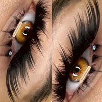 کاشت مژه اکستنشن مژه میکروبلیدینگ فیبروز شیدینگ لب|خدمات آرایشگری و زیبایی|تهران, تهرانپارس غربی|دیوار