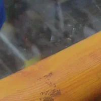 مشاوره و کمک به کارجویان ، (استخدام و کار ازاد)