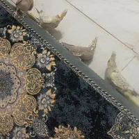 چهار عدد عروس هلندی|پرنده|آبیک, |دیوار