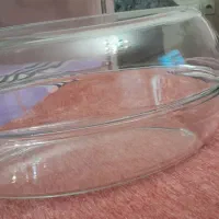 لوازم بلور|ظروف سرو و پذیرایی|تبریز, |دیوار