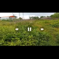 فروش 1200زمین برای ساخت سوله و کارگاه