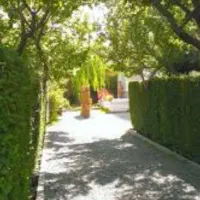 به چندتا کارگر خانم برای باغ پسته نیازمندیم