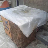 قفس مناسب تمام پرندگان