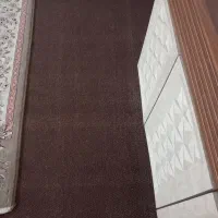 موکت در حد نو|موکت|مزرعه کتول, |دیوار