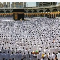 فروش فیش مکه عمره