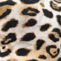 تاپ پلنگی|لباس|درگهان, |دیوار