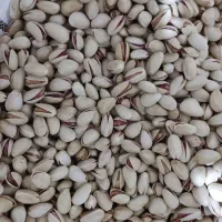 پسته خندان|حراج|سروستان, |دیوار
