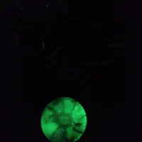 گردنبند شب نما|بدلیجات|خرمدره, |دیوار