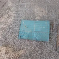 قفس پرنده