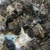 استوک زانتیا