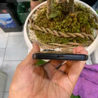Poco F5 رام 12 حافظه 256 سالم و تمیز|موبایل|کرج, گوهردشت|دیوار
