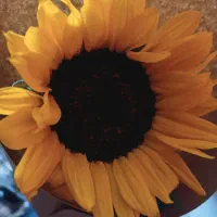 سیمکارت ایرانسل1656-333-0936