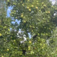 سربیژن نزدیک جاده کرمان جیرفت