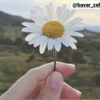 وام مهربانی