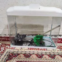 آکواریوم