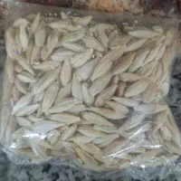 جو شش پر اصلاح کرده