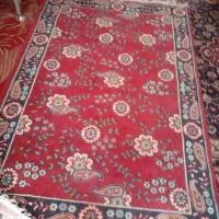 قالی یکنیم در دونیم نوه نوه هنوز پانخورده