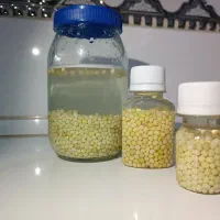 خاویار حلزون