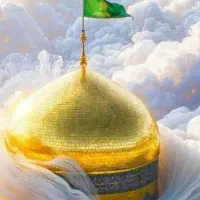 کربلا نجف کاظمین زمینی  دوسر