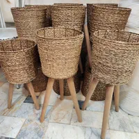 استند پایه گلدان دور حصیری سه تایی شفلرا آگلونما|گل و گیاه طبیعی|قم, نیروگاه|دیوار