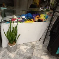 رگال . چوب کار . میز پاچال و وسائل مربوط ب فروشگاه|فروشگاه و مغازه|مشهد, انقلاب|دیوار