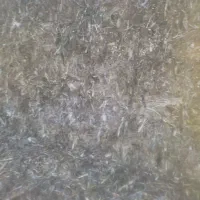 لوبیا پیرس بادام و کلش گندم دیم|عمده‌فروشی|قشلاق دشت, |دیوار