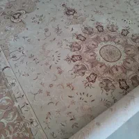 یک تخته فرش ۱۲متری