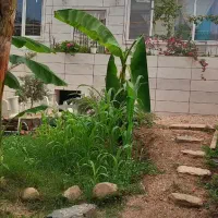 فروش-خونه-ویلایی-دو-خواب-جنگلی