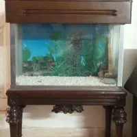 آکواریوم چوبی