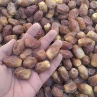 خرما خشک زاهدی قصب