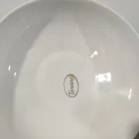 ظرف میوه خوری سرامیکی|ظروف سرو و پذیرایی|دوگنبدان, |دیوار