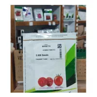 انواع رقم گوجه فرنگی شرکتی سمینیس