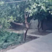 منزل مسکونی|فروش خانه و ویلا|نکا, |دیوار