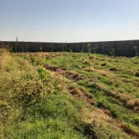 قطعه باغ ۱۰۰۰ متر