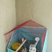 قفس پرنده ۱۰۳۴ و قفس کلبه ای کوچک|لوازم جانبی حیوانات|خوانسار, |دیوار